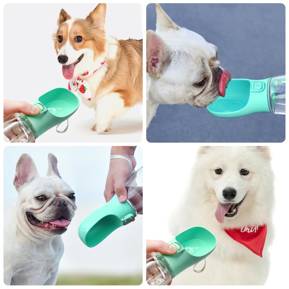 Portable Pet Water Bottle – Leakproof On-the-Go Drinking Bottle