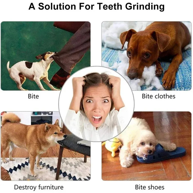 Puppy Trainer Toy Ball, Nontoxic Bite Resistant Toy Ball Puppy Pet Food Treat Feeder Chew Tooth Cleaning Ball