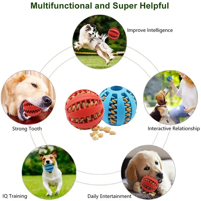 Puppy Trainer Toy Ball, Nontoxic Bite Resistant Toy Ball Puppy Pet Food Treat Feeder Chew Tooth Cleaning Ball