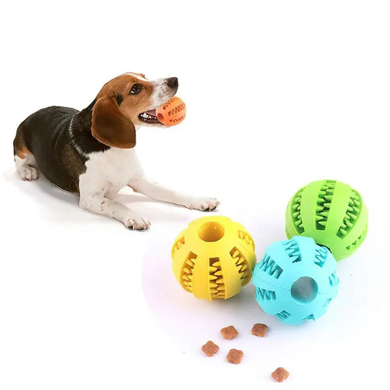 Puppy Trainer Toy Ball, Nontoxic Bite Resistant Toy Ball Puppy Pet Food Treat Feeder Chew Tooth Cleaning Ball